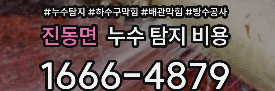진동면 누수 탐지 비용