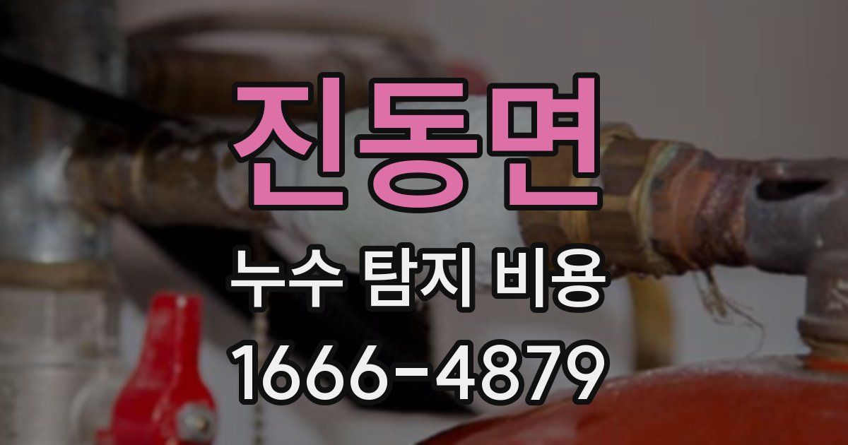 진동면 누수 탐지 비용