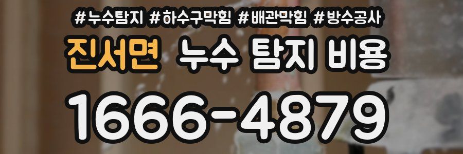 진서면 누수 탐지 비용