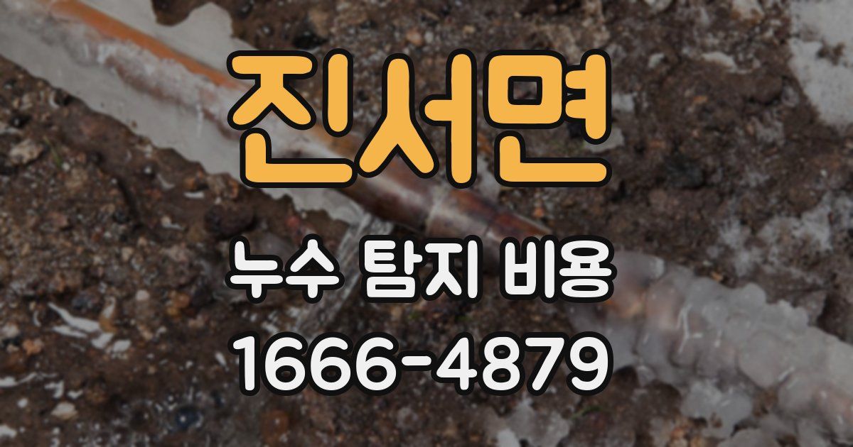진서면 누수 탐지 비용