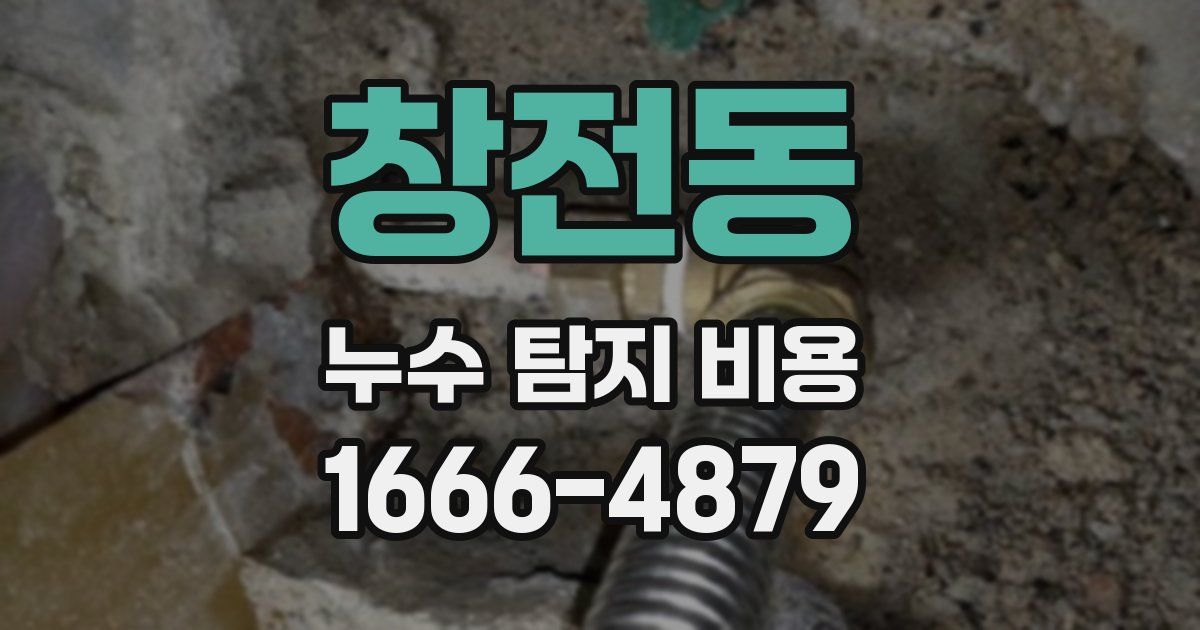 창전동 누수 탐지 비용