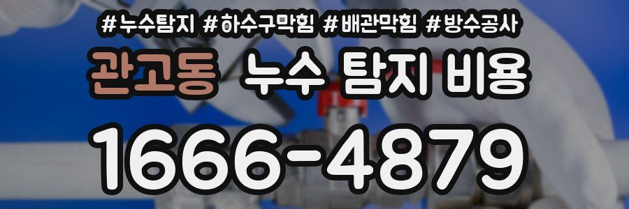관고동 누수 탐지 비용