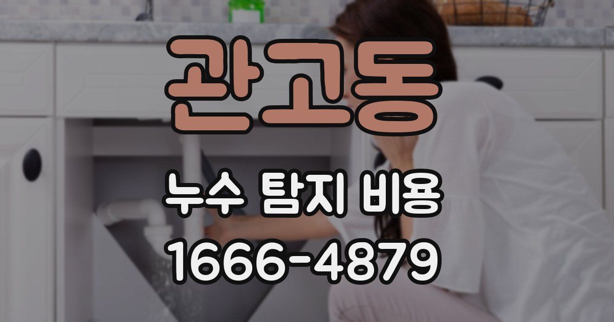 관고동 누수 탐지 비용