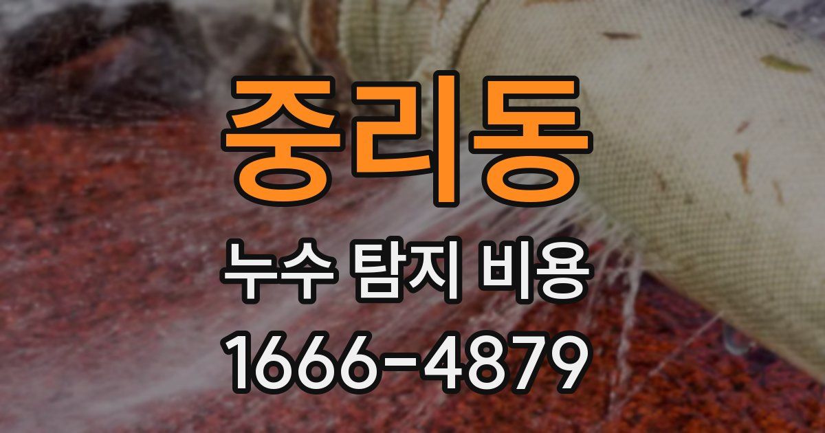 중리동 누수 탐지 비용