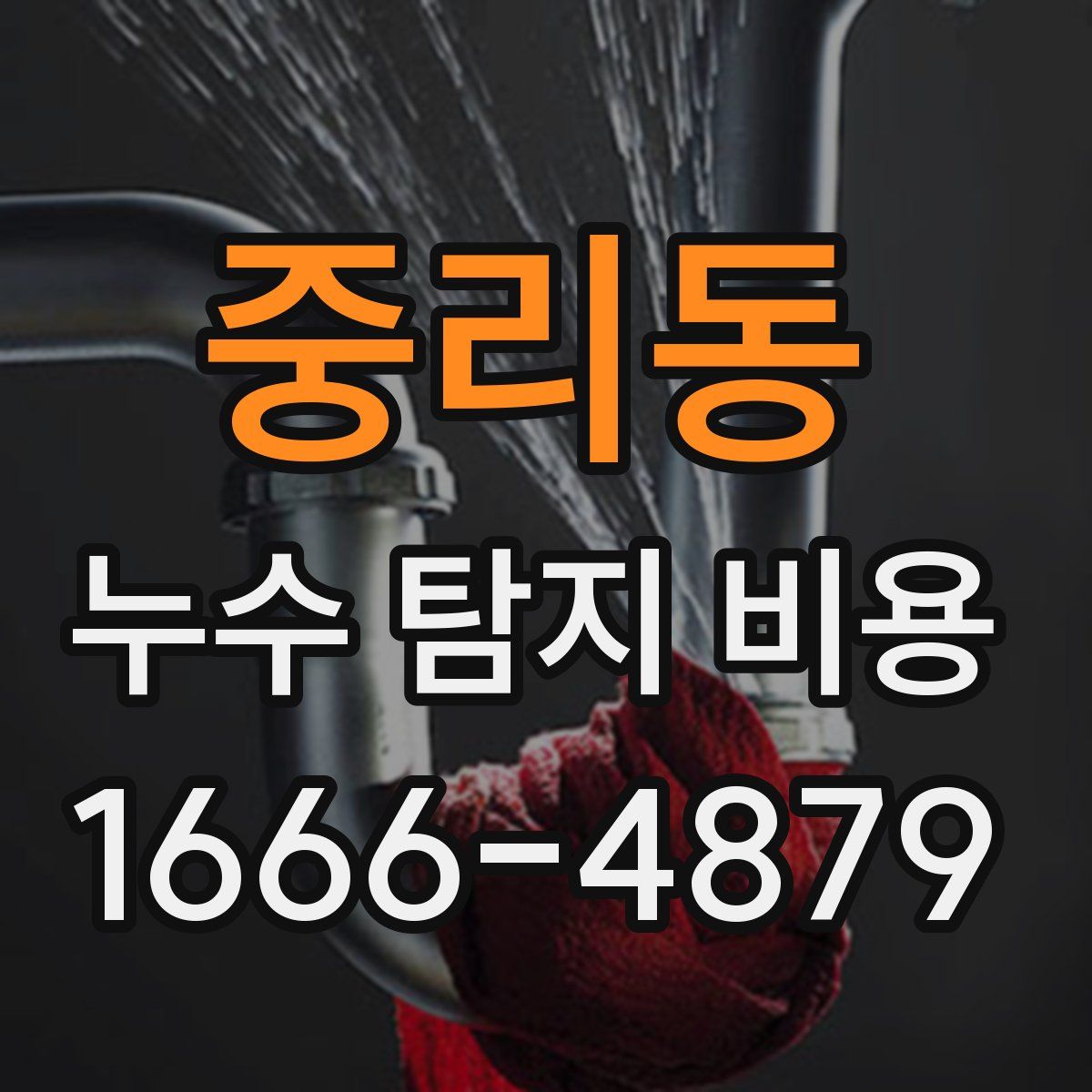 중리동 누수 탐지 비용