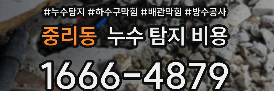 중리동 누수 탐지 비용