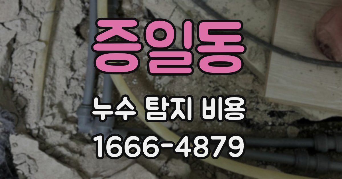 증일동 누수 탐지 비용