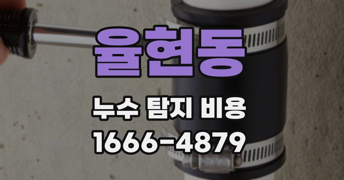 율현동 누수 탐지 비용