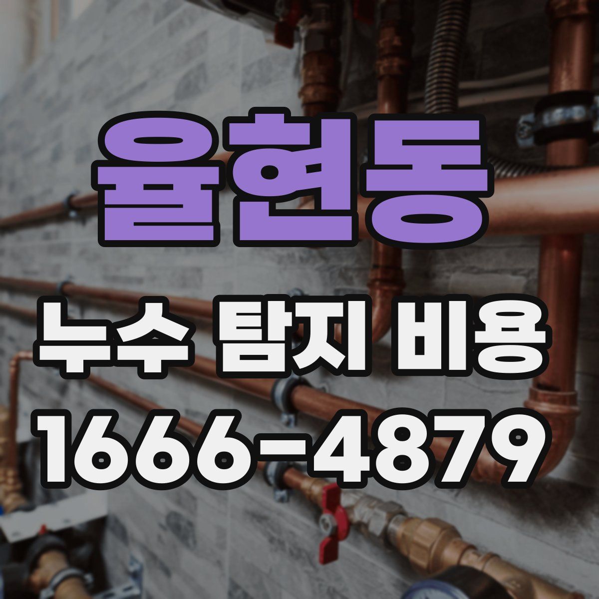 율현동 누수 탐지 비용