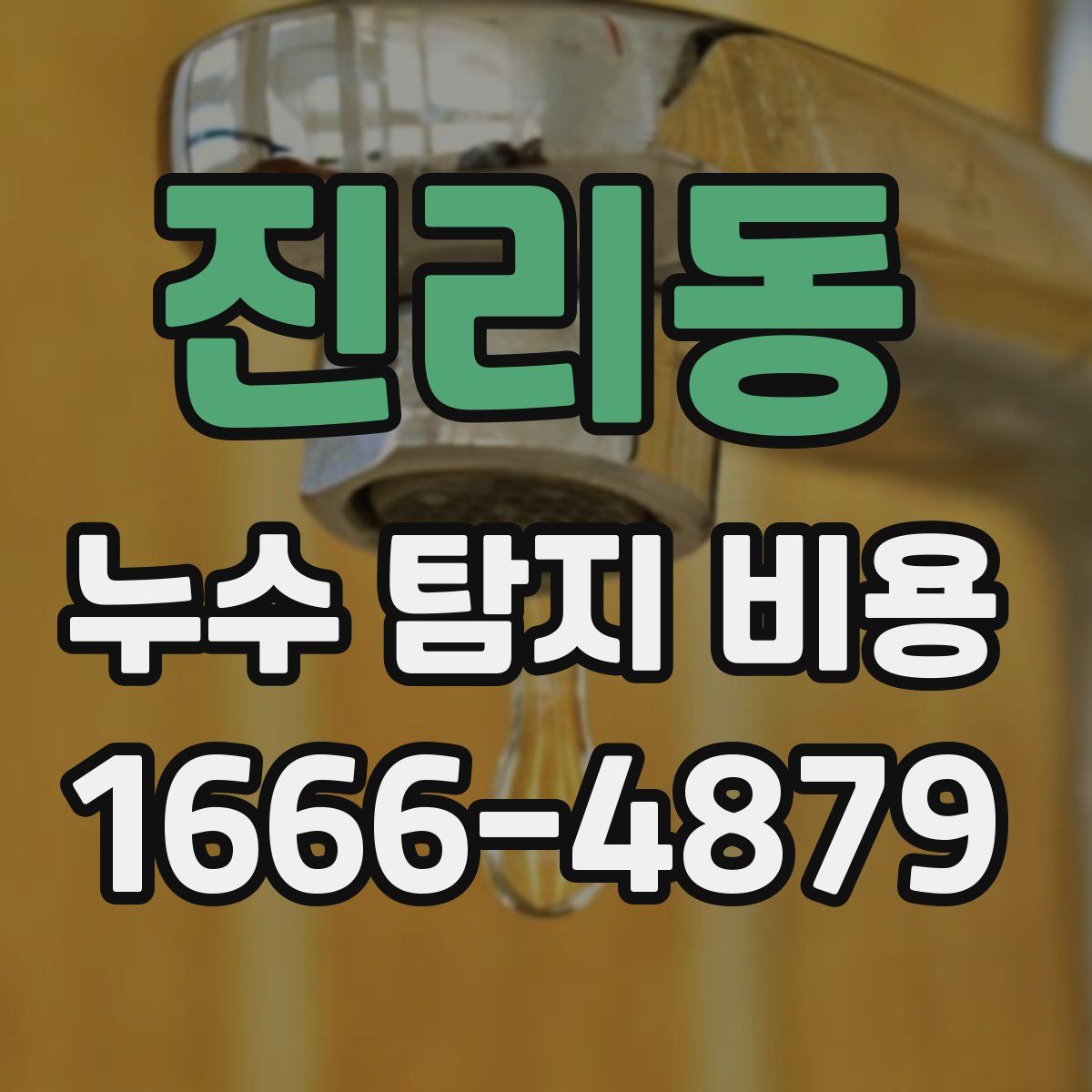 진리동 누수 탐지 비용