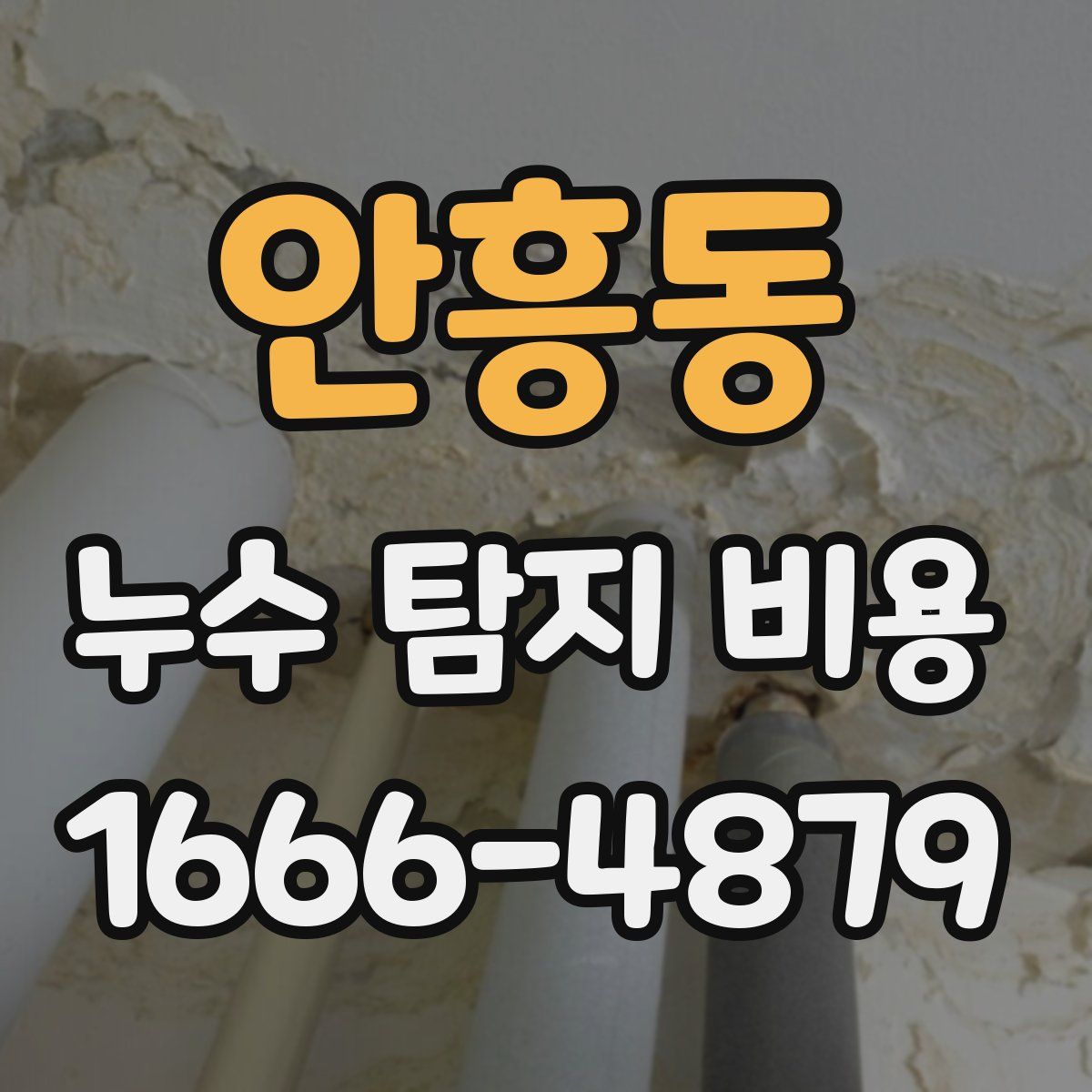 안흥동 누수 탐지 비용