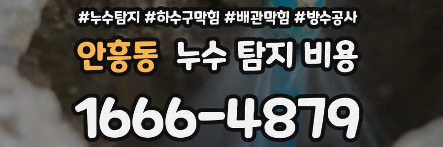 안흥동 누수 탐지 비용