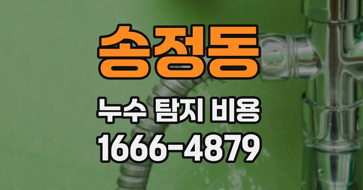 송정동 누수 탐지 비용