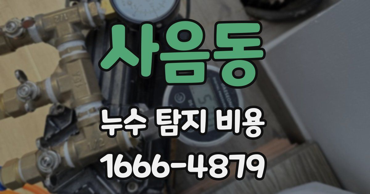 사음동 누수 탐지 비용