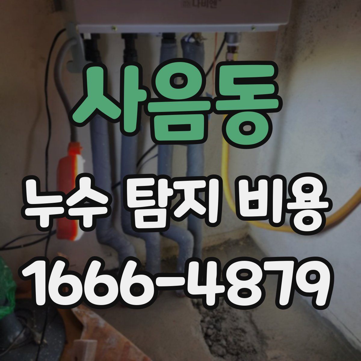 사음동 누수 탐지 비용