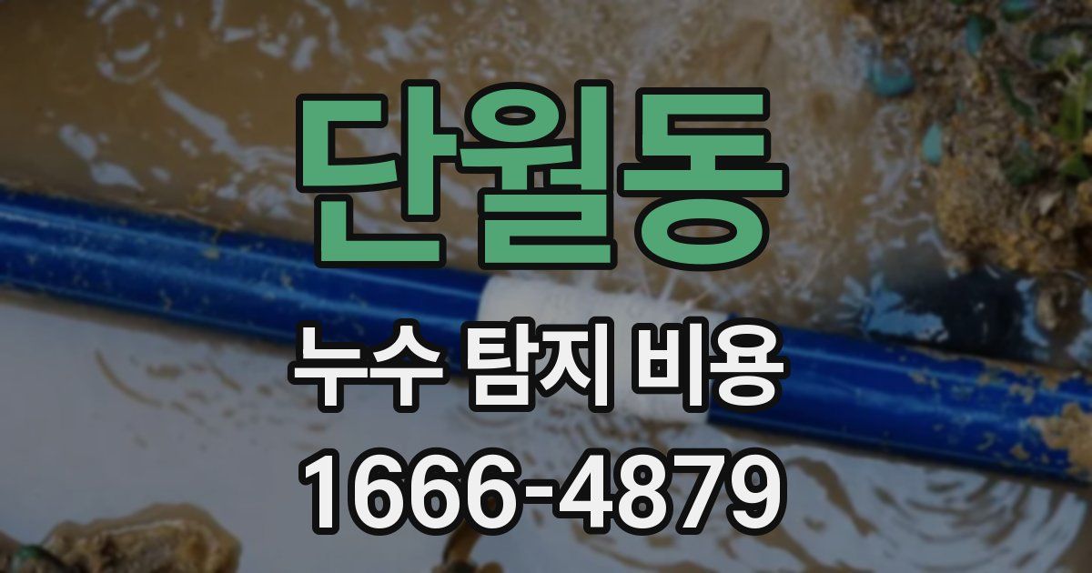 단월동 누수 탐지 비용
