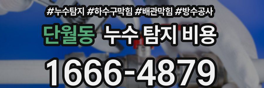 단월동 누수 탐지 비용