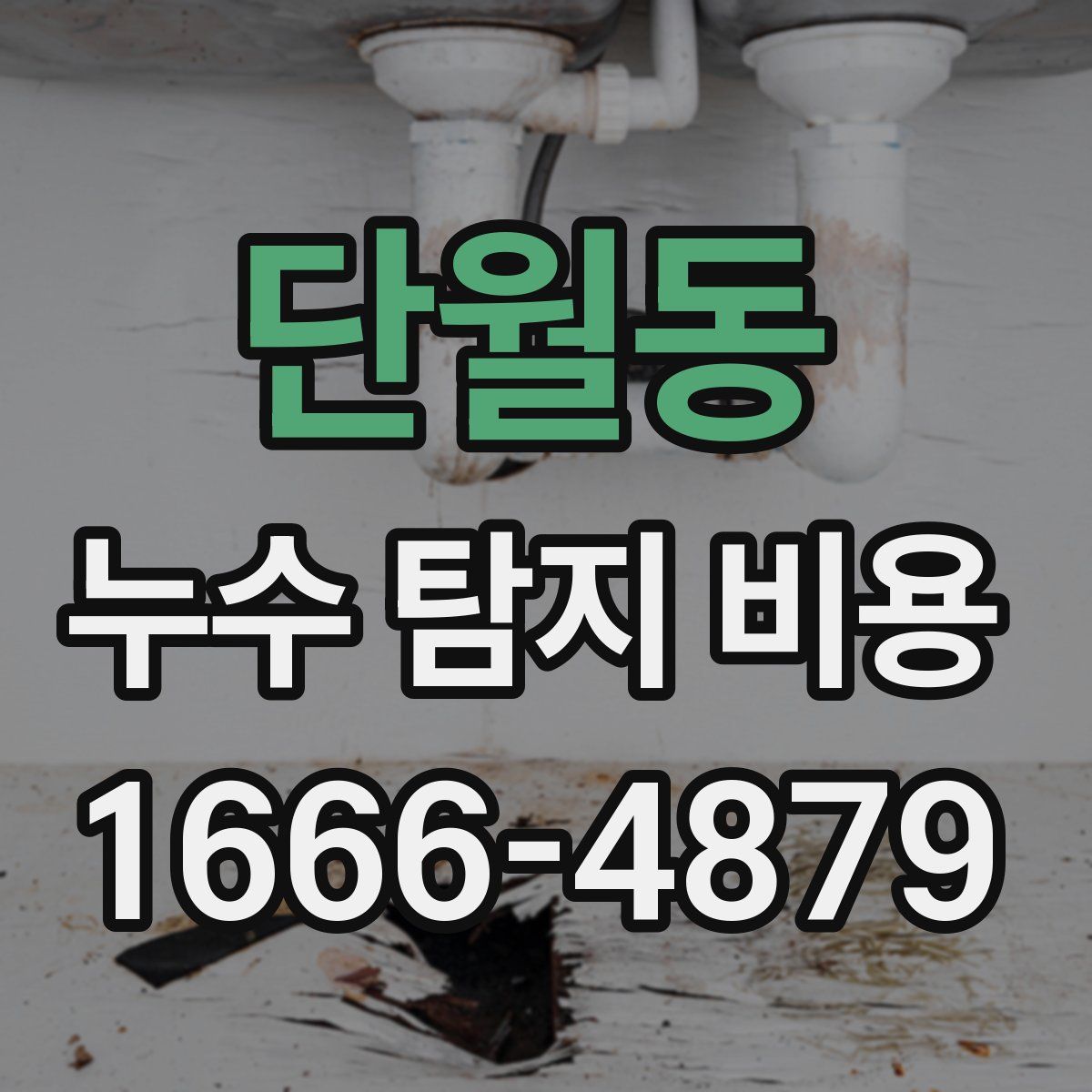 단월동 누수 탐지 비용
