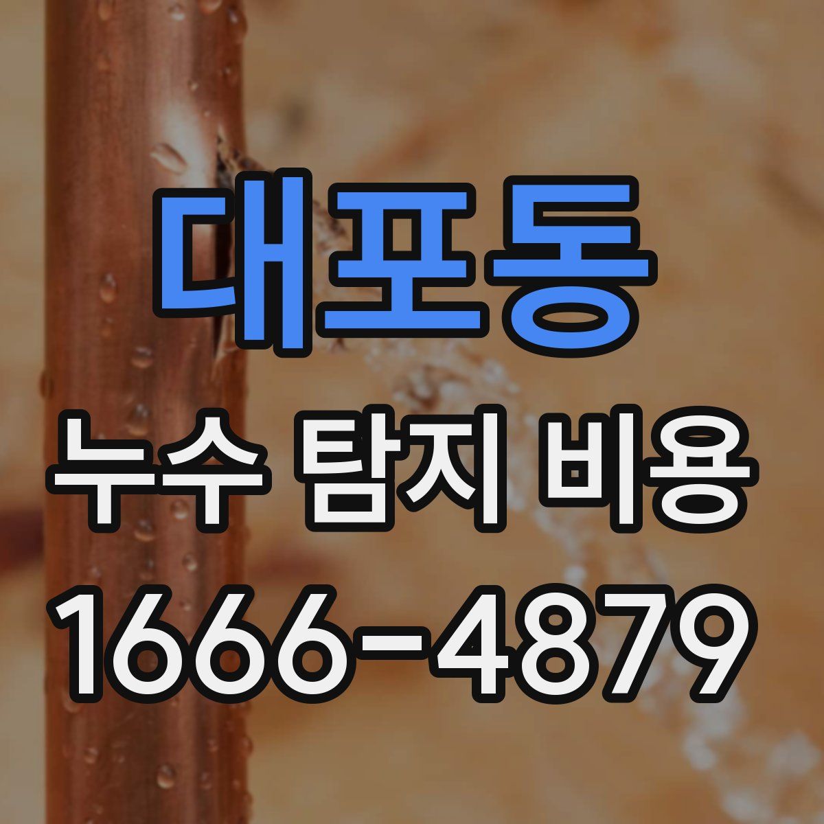 대포동 누수 탐지 비용