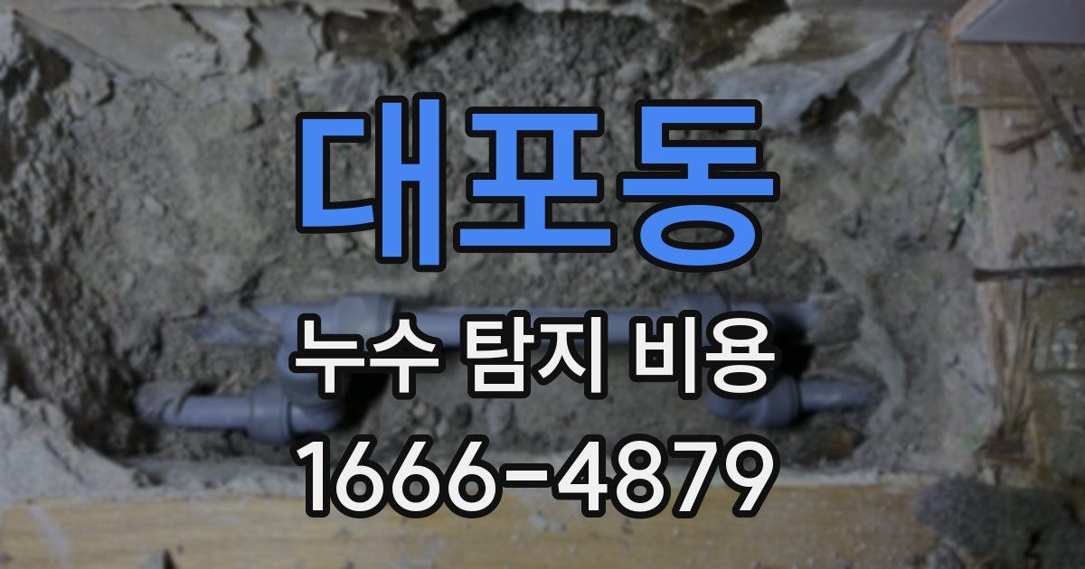 대포동 누수 탐지 비용