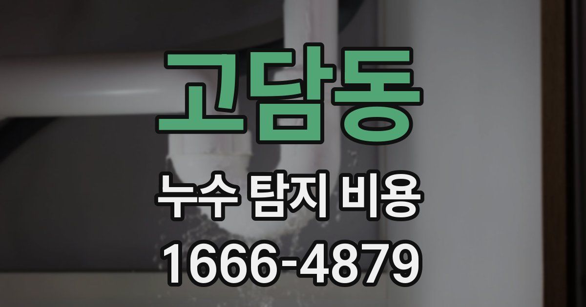 고담동 누수 탐지 비용