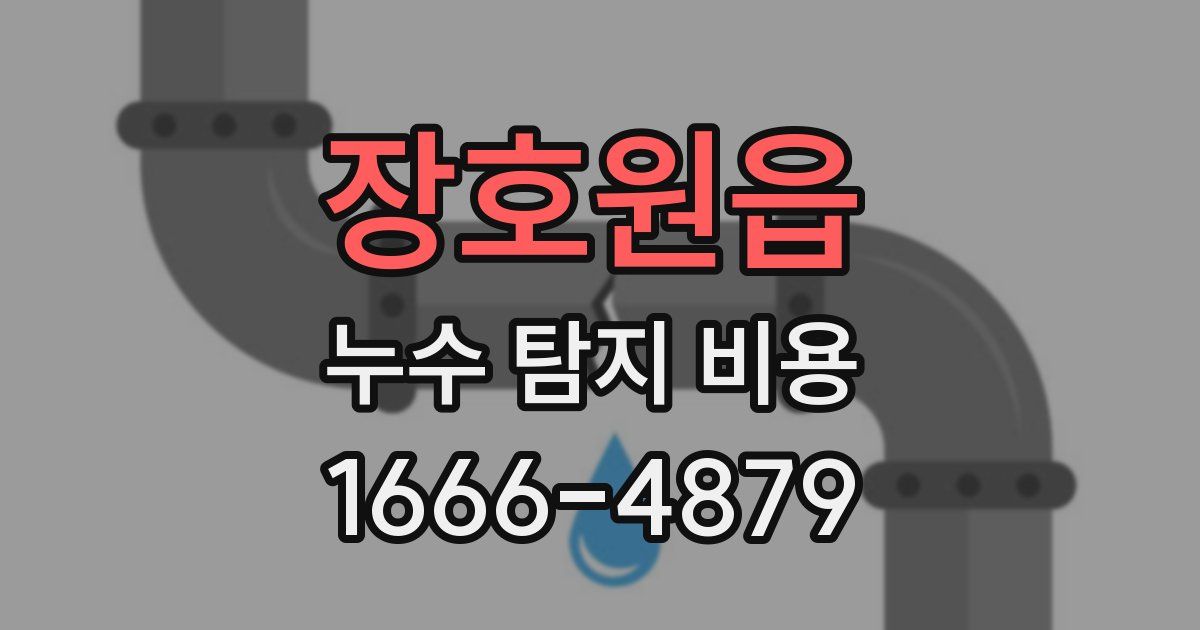 장호원읍 누수 탐지 비용