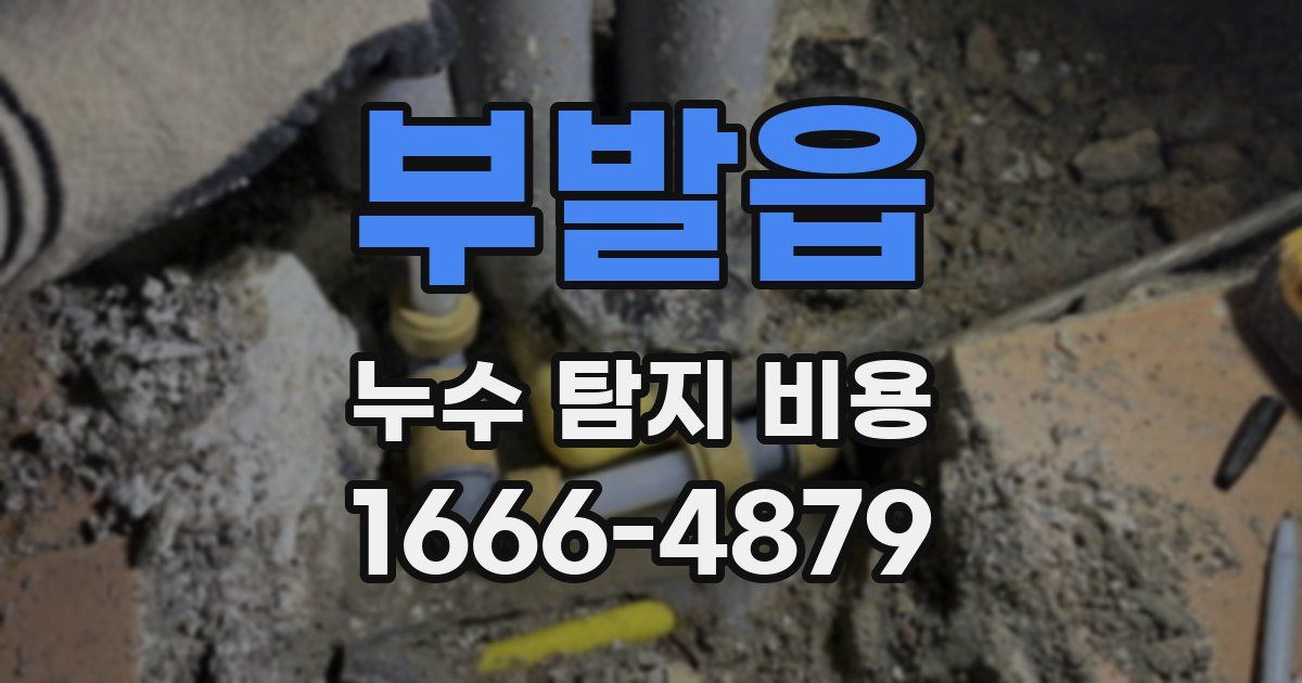 부발읍 누수 탐지 비용