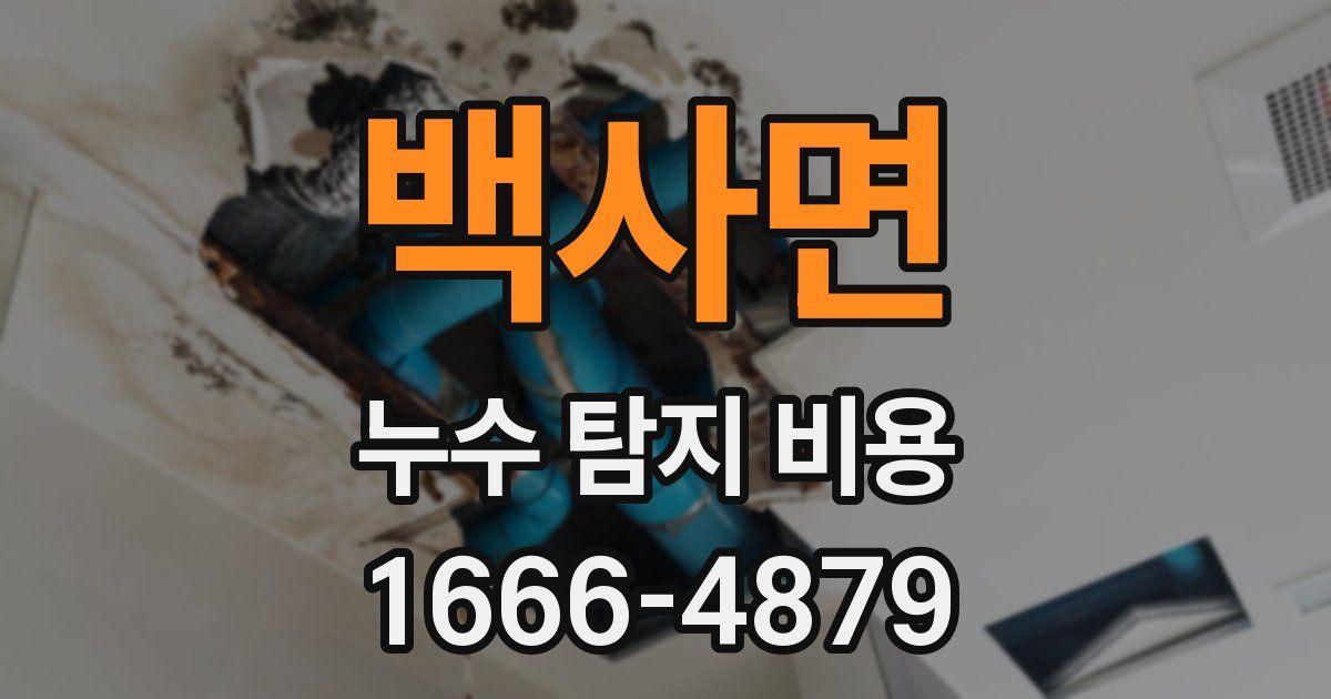 백사면 누수 탐지 비용