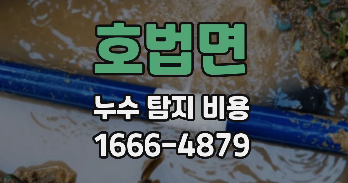 호법면 누수 탐지 비용