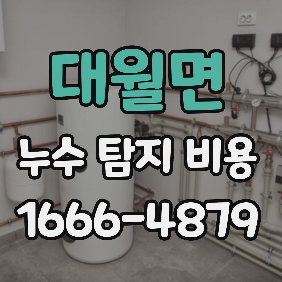대월면 누수 탐지 비용