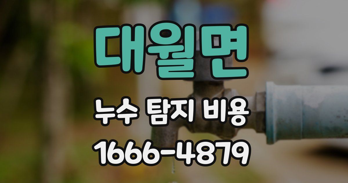 대월면 누수 탐지 비용