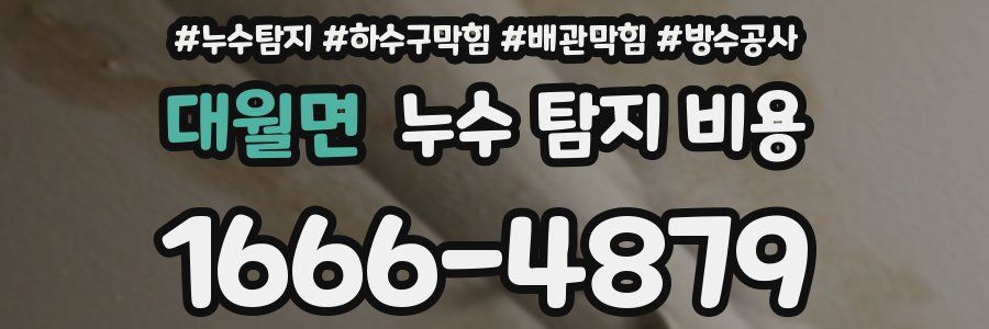 대월면 누수 탐지 비용