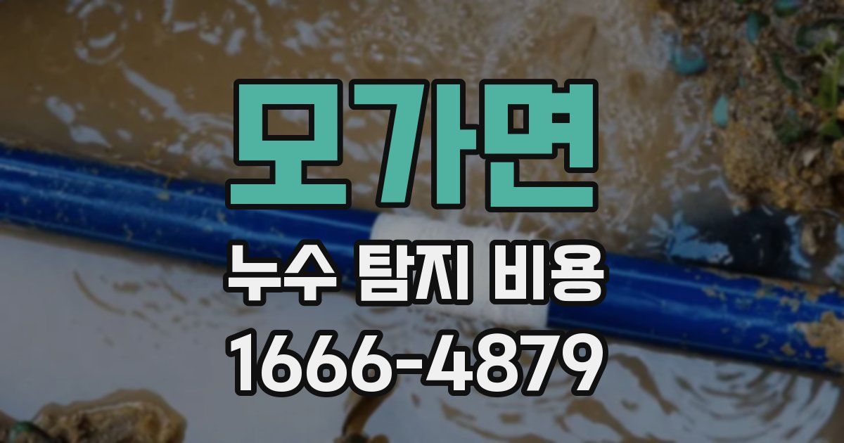 모가면 누수 탐지 비용