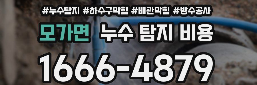 모가면 누수 탐지 비용