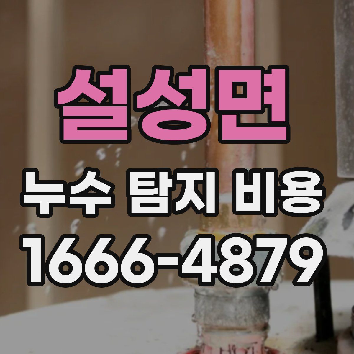 설성면 누수 탐지 비용