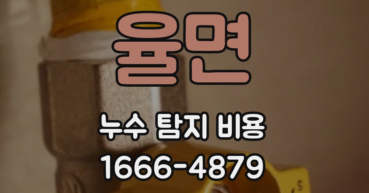 율면 누수 탐지 비용
