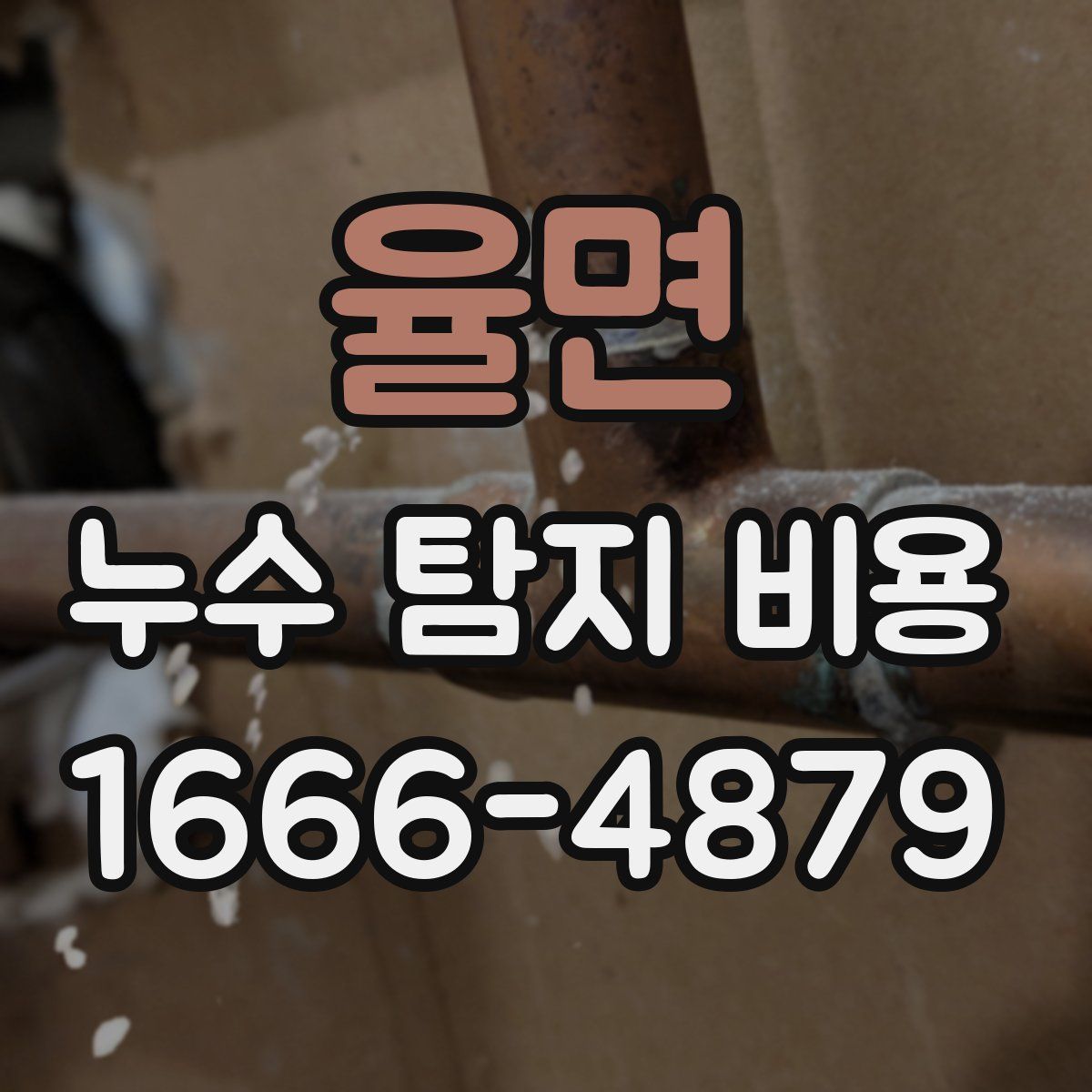 율면 누수 탐지 비용