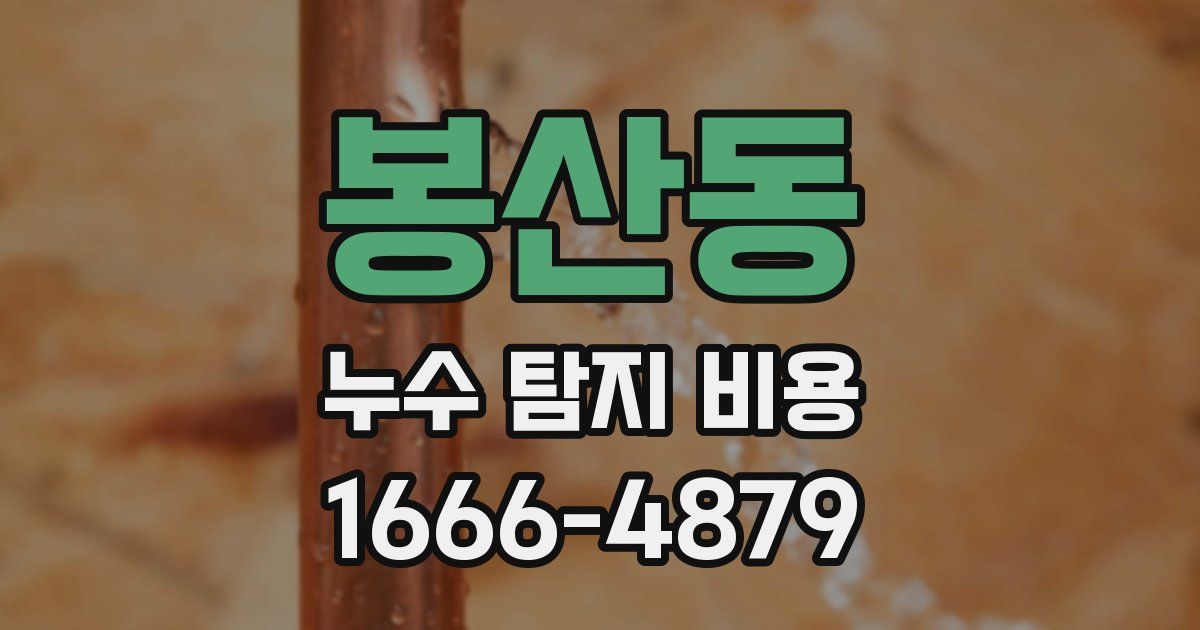 봉산동 누수 탐지 비용
