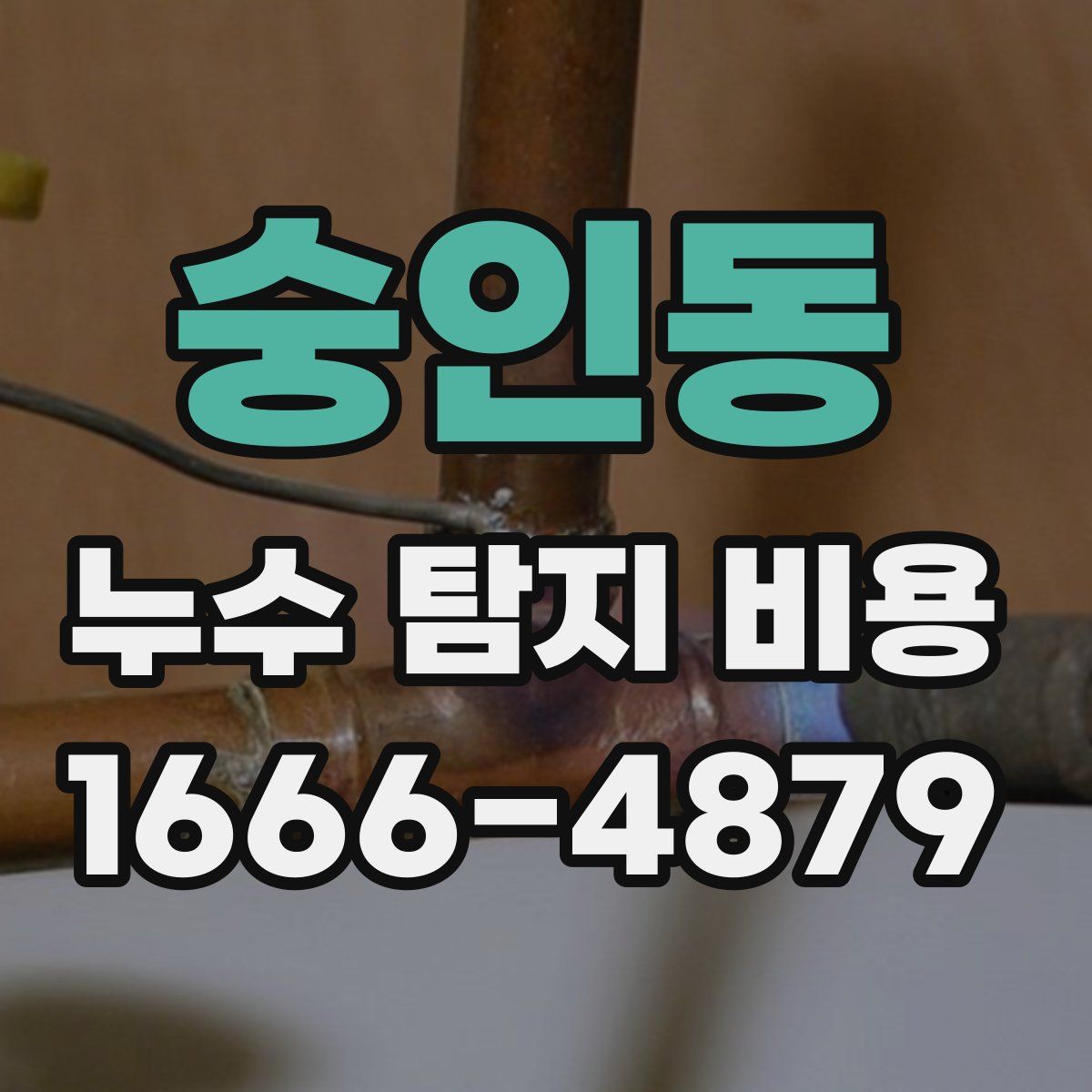 숭인동 누수 탐지 비용