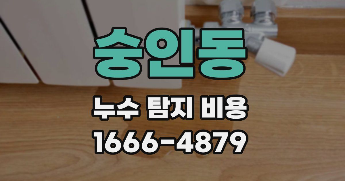 숭인동 누수 탐지 비용