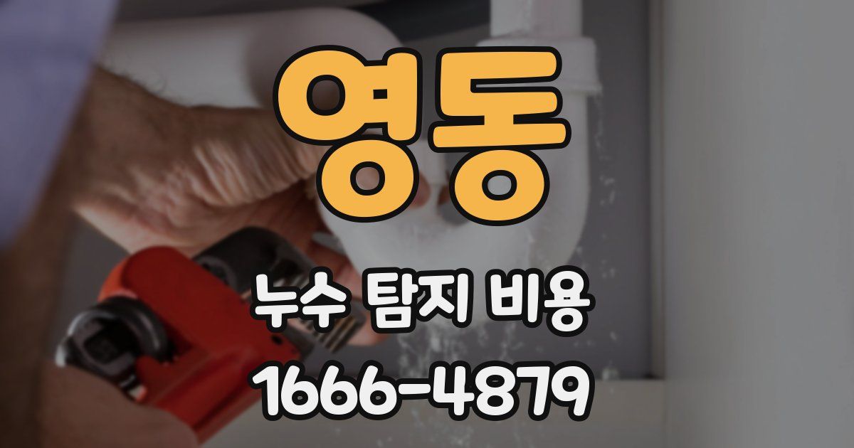 영동 누수 탐지 비용