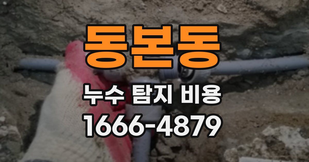 동본동 누수 탐지 비용