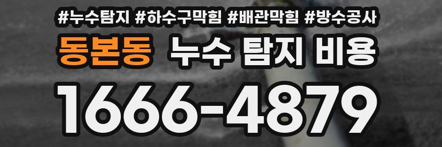 동본동 누수 탐지 비용