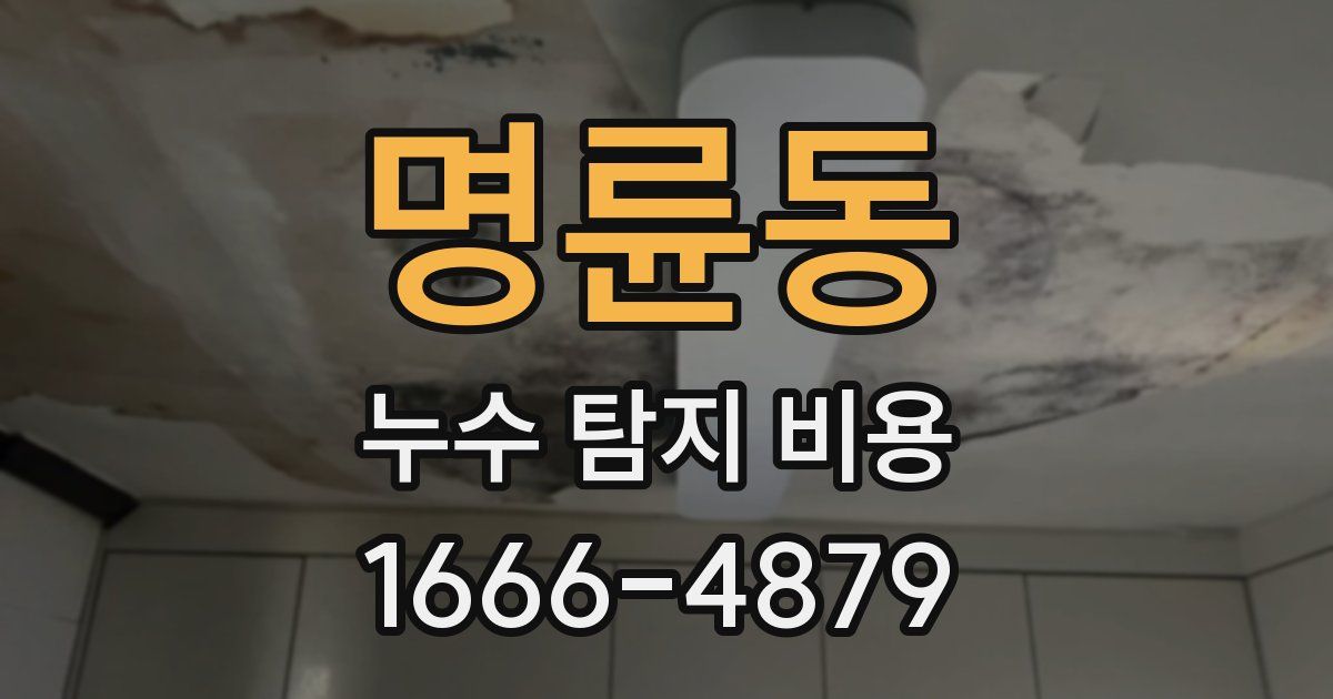 명륜동 누수 탐지 비용