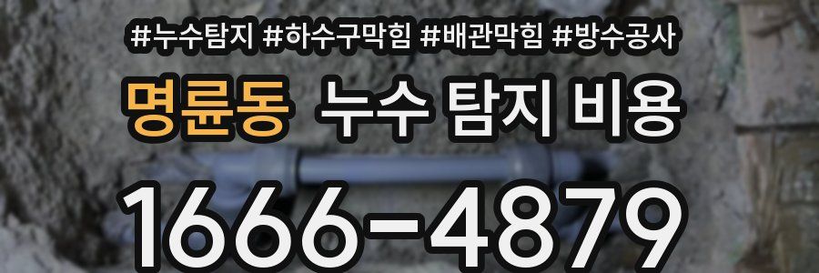 명륜동 누수 탐지 비용