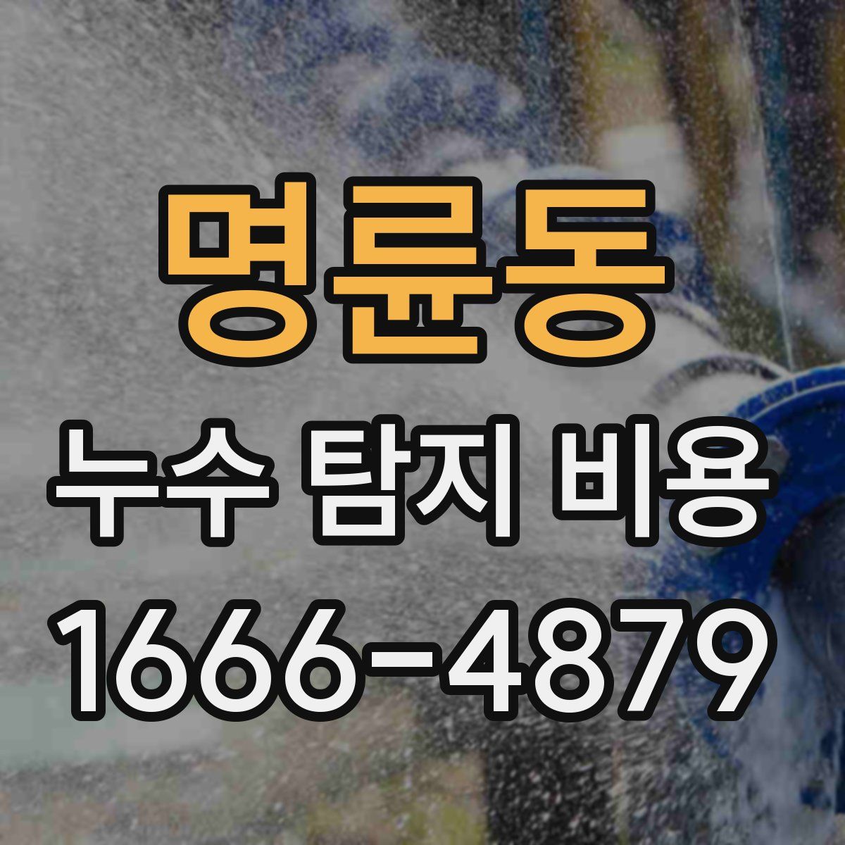 명륜동 누수 탐지 비용