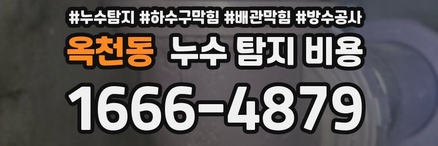 옥천동 누수 탐지 비용