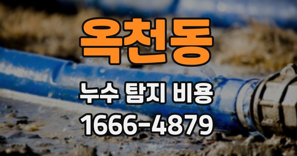 옥천동 누수 탐지 비용