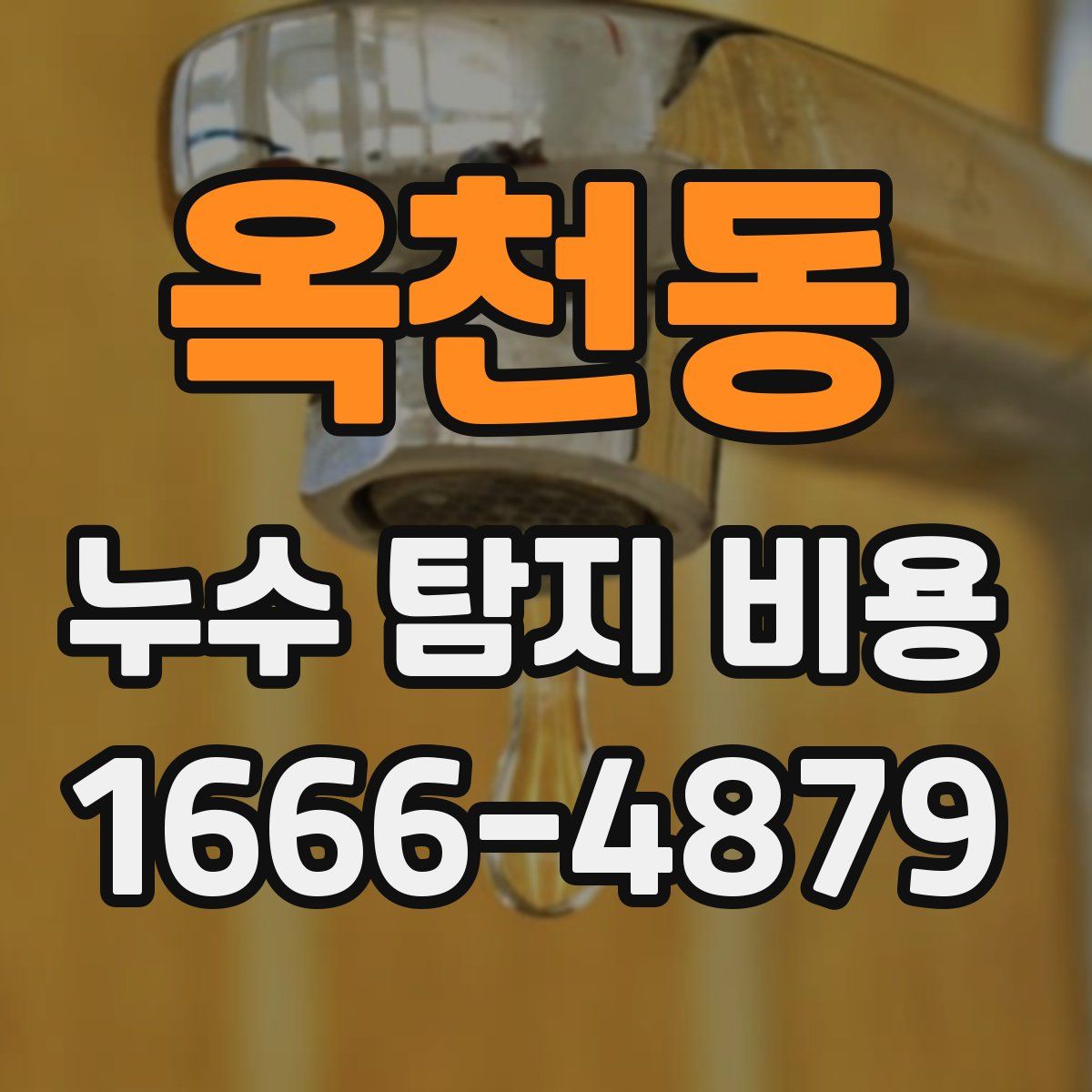 옥천동 누수 탐지 비용