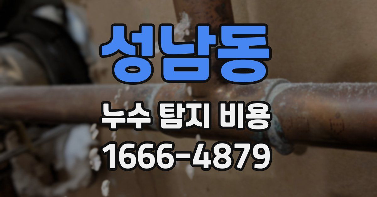 성남동 누수 탐지 비용